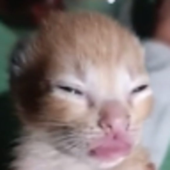 Meet your Posher, Drew - Picture 1 of 1